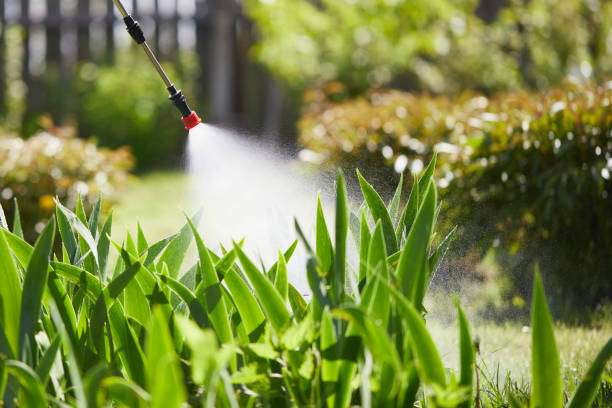 Tamper-Resistant Bait Stations for Rodents in Wells