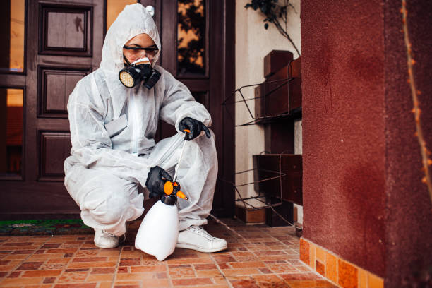 Attic and Crawl Space Rodent Treatment in Wells