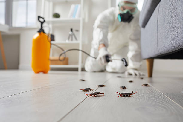 Commercial Rodent Management in Wells